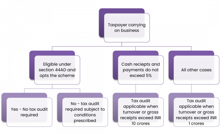 tax-payer-carrying-business